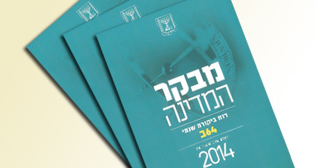 ייצוג בהליכי ביקורת